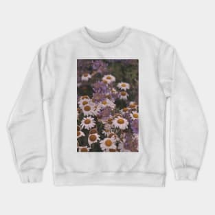 Field of daisies/camomile Crewneck Sweatshirt